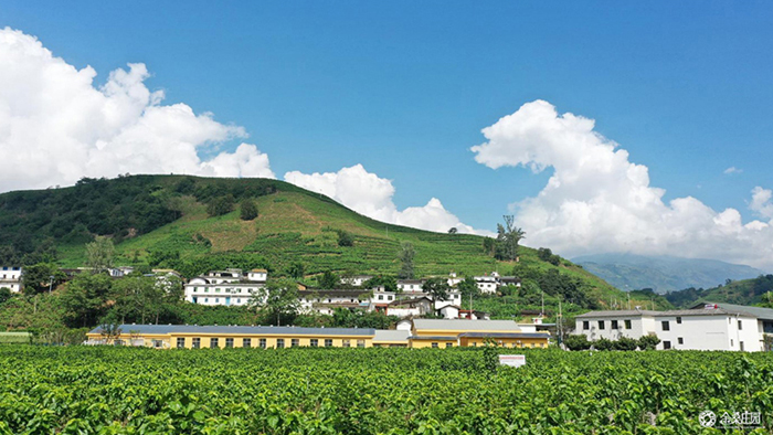 寧南縣蠶?，F(xiàn)代農(nóng)業(yè)園區(qū)獲評(píng)四川省五星級(jí)現(xiàn)代農(nóng)業(yè)園區(qū)