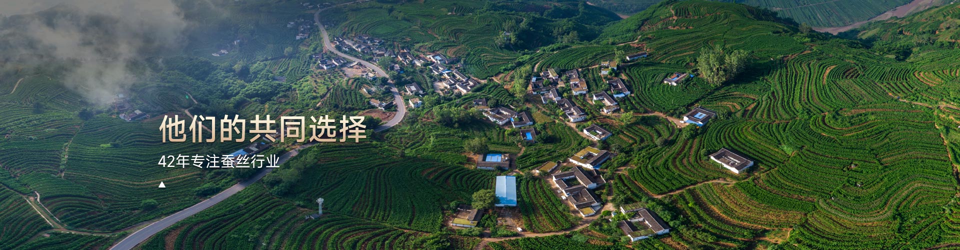 他們的共同選擇，42年專注蠶絲行業(yè)
